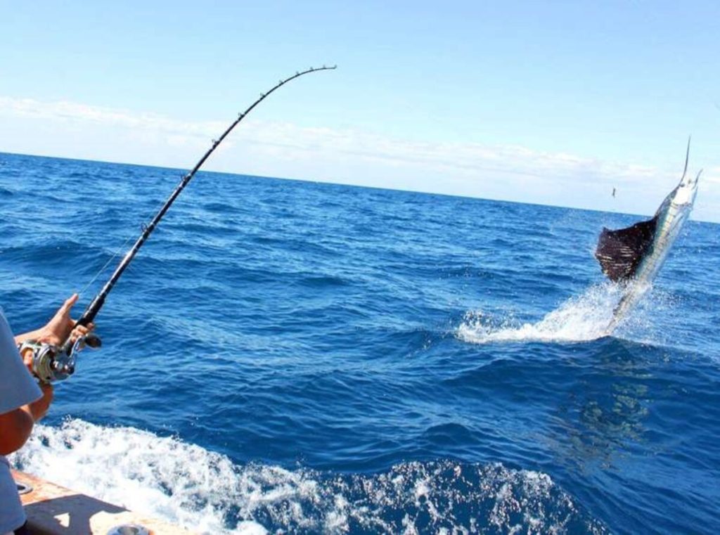 Pesca Deportiva en Cancún Pez Vela